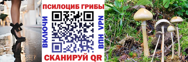 Купить закладки  Грозный  Галлюциногенные грибы ЛСД 