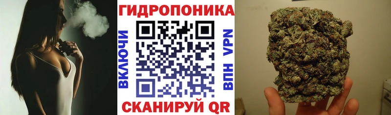 Купить закладки  Грозный  Марихуана марихуана 